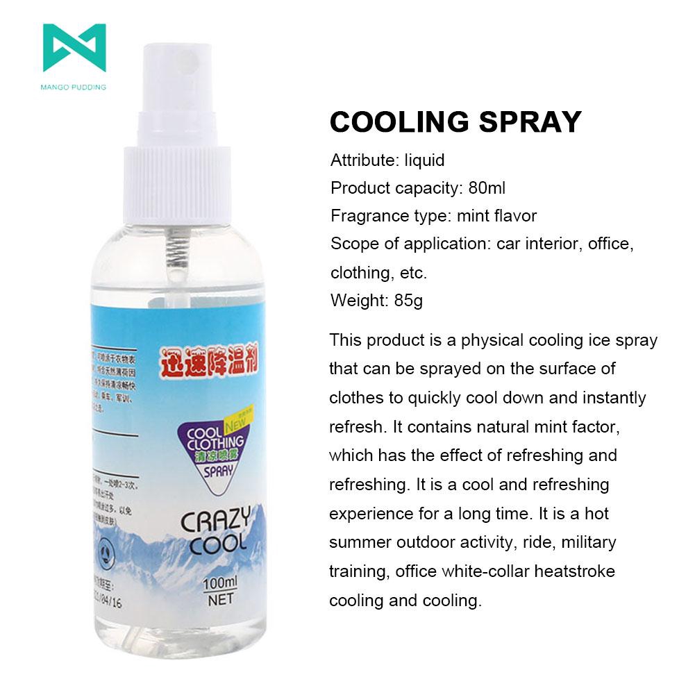 Cooling Spray Rapid Coolant Summer Cooling Agent Universal Interior Cool Down