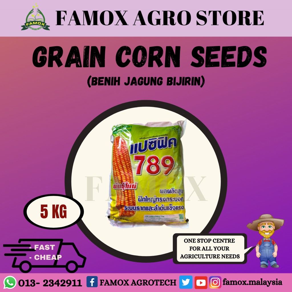 GRAIN CORN SEEDS 5 KG / BENIH JAGUNG BIJIRIN 5KG  Shopee Malaysia