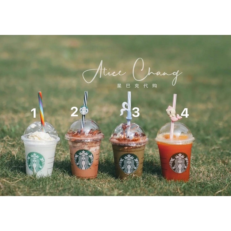 Starbucks Reuseable straw (authentic merchandise from Starbucks china )