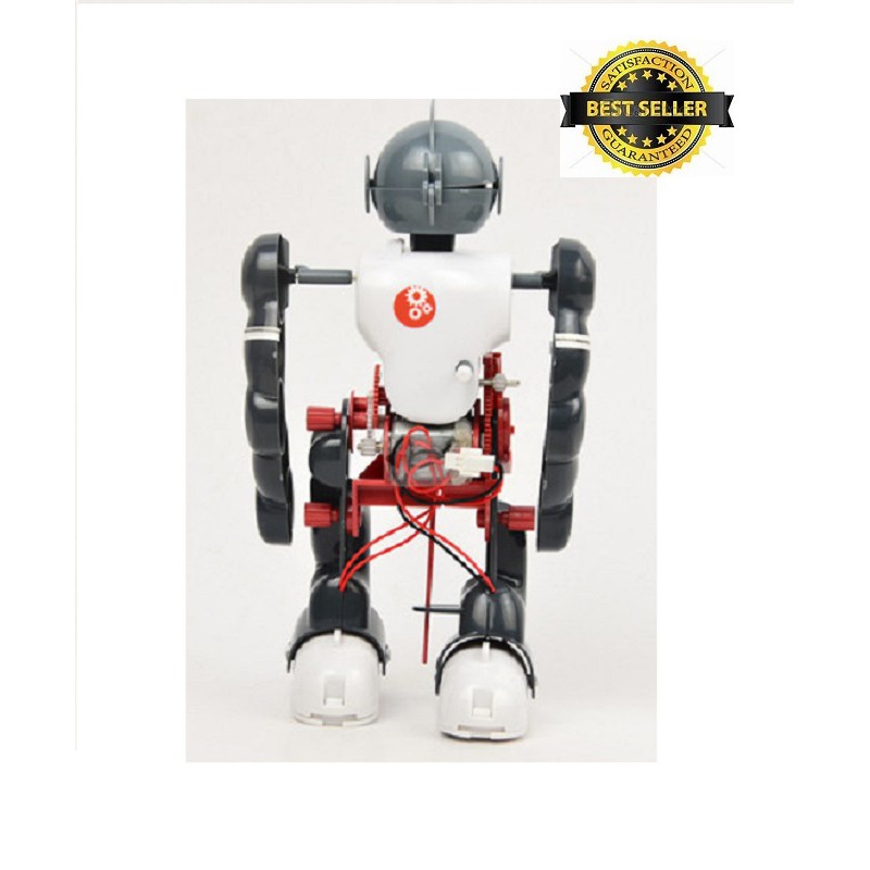walking transformer toy