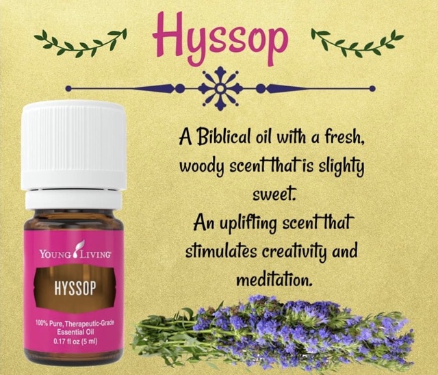 Hyssop Essential Oil 5ml By Young Livings Shopee Malaysia