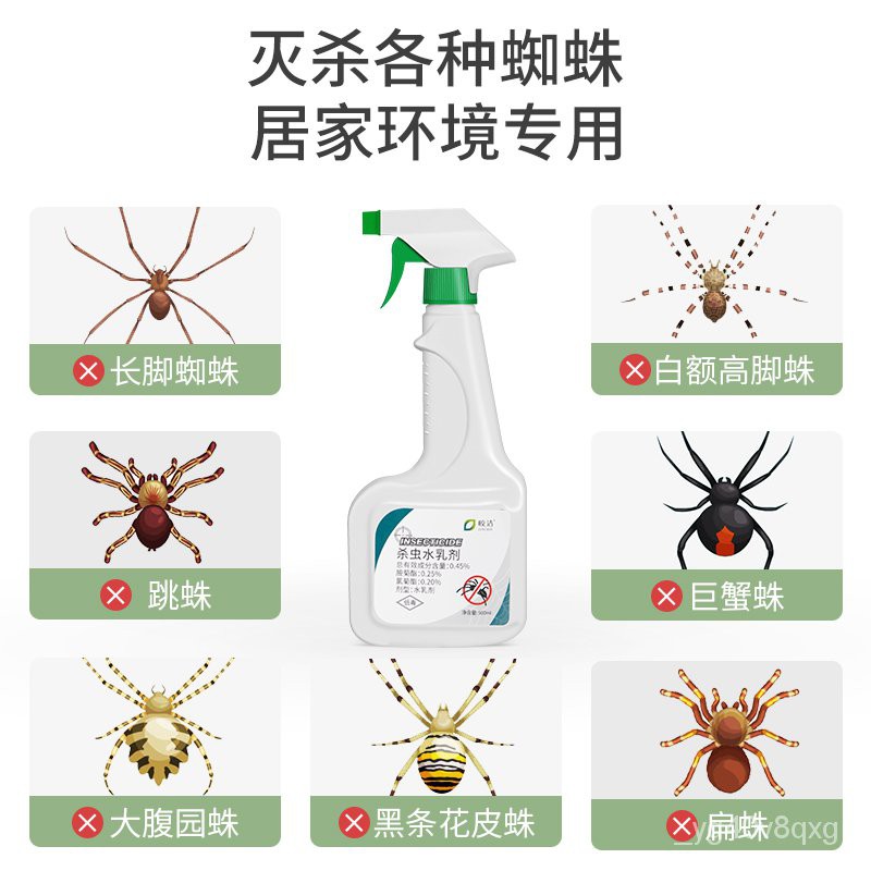 Insecticide 蜘蛛杀虫剂蜘蛛灭绝专用药非无毒神器喷雾灭去除杀蜘蛛药家用室内 Shopee Malaysia