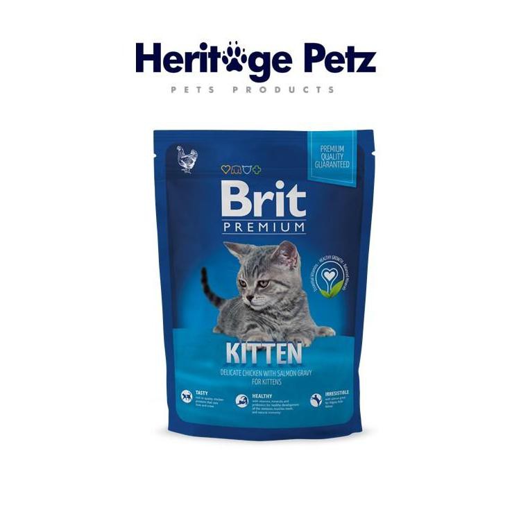 brit kitten