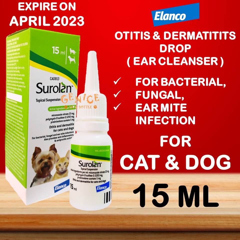 Fungal Ear Antifungal Ear Drops ubicaciondepersonas.cdmx.gob.mx