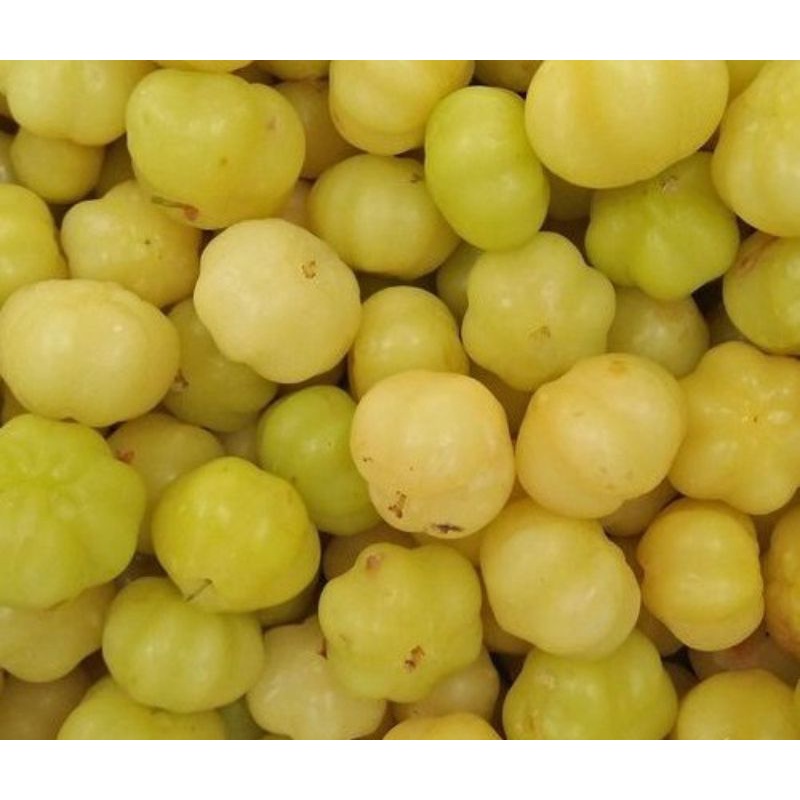 Buah Cermai Buah Fresh 1kg Shopee Malaysia