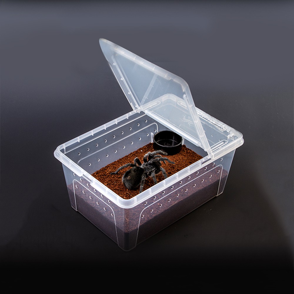 portable lizard cage