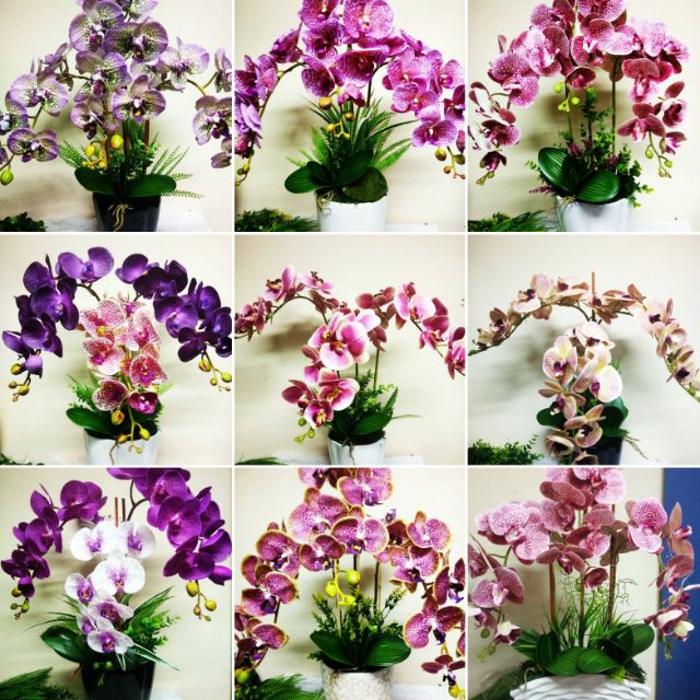  Bunga  orkid hiasan  murah Shopee Malaysia