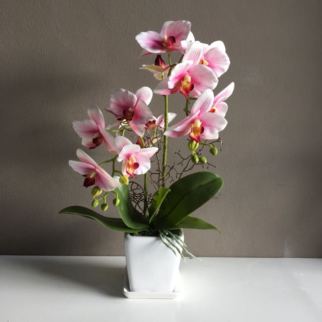 Artificial mini orchid with ceramic pot (ready stock) Shopee Malaysia