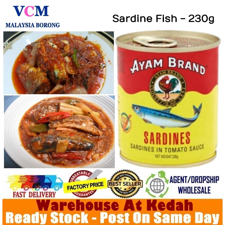 Ayam Brand Sardines Fish In Tomato Sauce 230g Ready Stock 95500539