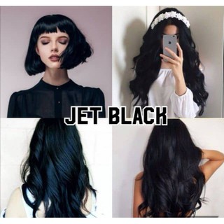 Jet Black 22 0 Professional Hair Color Cream Black Dye Hair Black Hair Cover Grey Hair Tutup Uban Shopee Malaysia