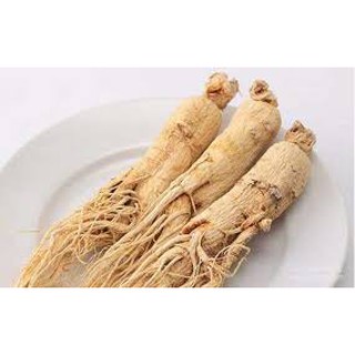 精选长白山人参50g Premium Changbai Mountain Ginseng Shopee Malaysia