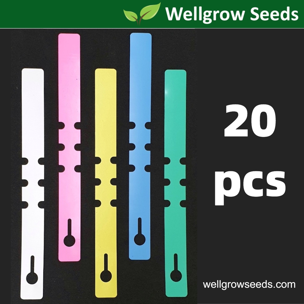 20pcs Plant Label/Plant Tag/Tree Label/Fruit Marker/Penanda Pokok/Gardening Label/Waterproof/High Quality Plastic PVC