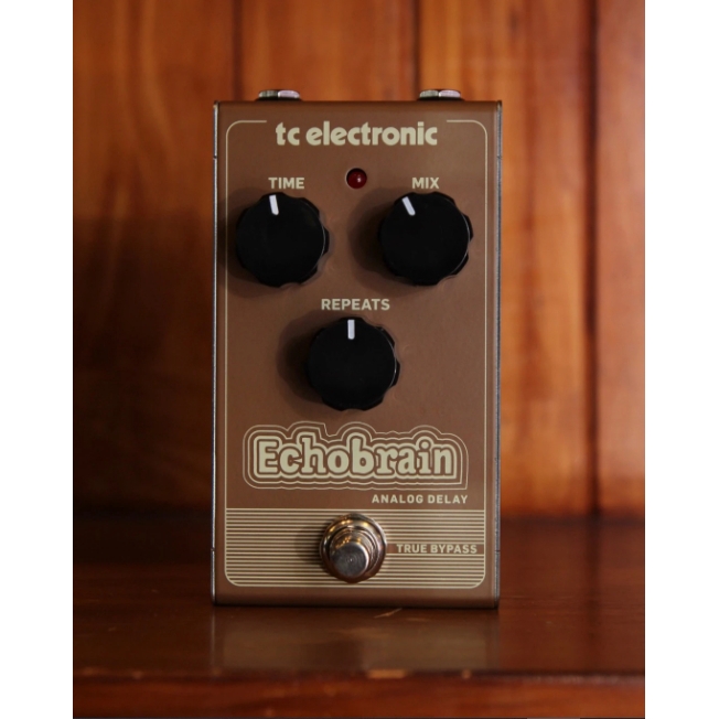 tc electronic echobrain
