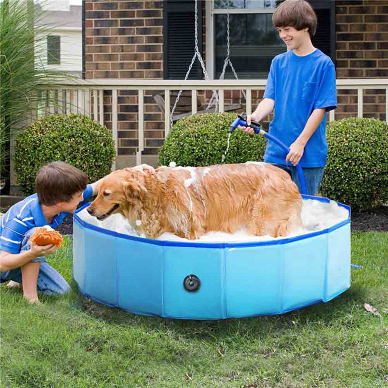 pet pools for large dogs