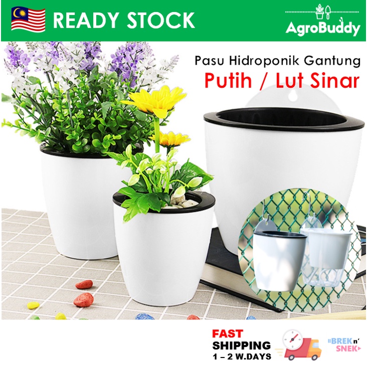 Self Watering Pot Wall Hanging Hydroponic Pot Pasu Penyerap Air Automatik Gantung Bentuk Telur