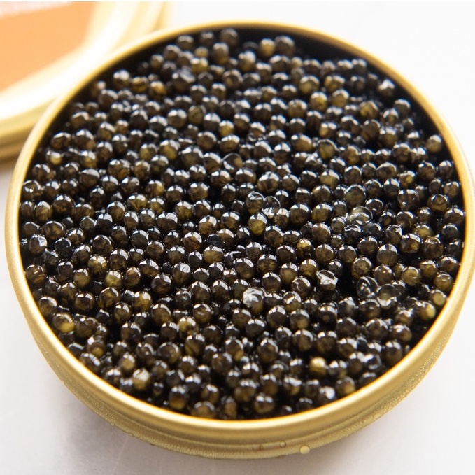 [WagyuGiza Malaysia] Premium Seafood - White Sturgeon Caviar 30g