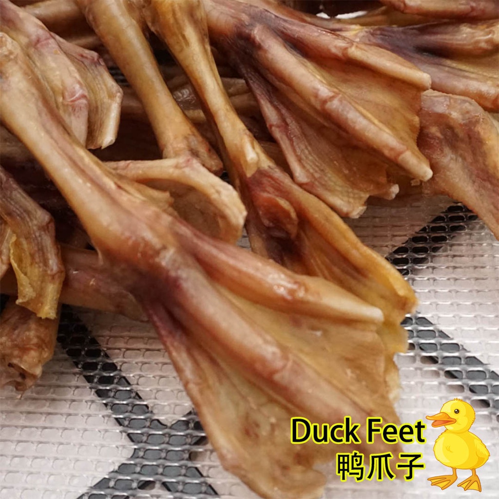 [Home Make]Air Dried Dehydrated Duck Feet Dental Chew Pet Treat 自制风干鸭脚磨牙清热 (Buy 10 Free 1