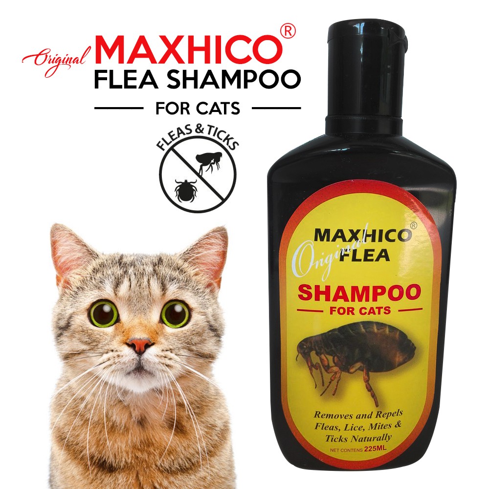 Maxhico Flea Shampoo For Cat 225ml Fleas Lice Mites Ticks Shampoo Kutu Kucing Shopee Malaysia