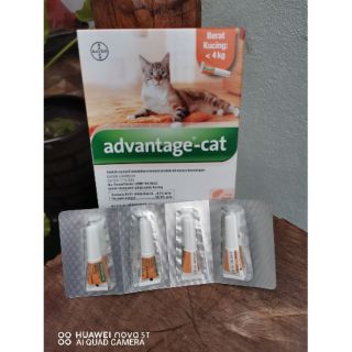 Bayer Advantage Cat/ Ubat Kutu Kucing  Shopee Malaysia