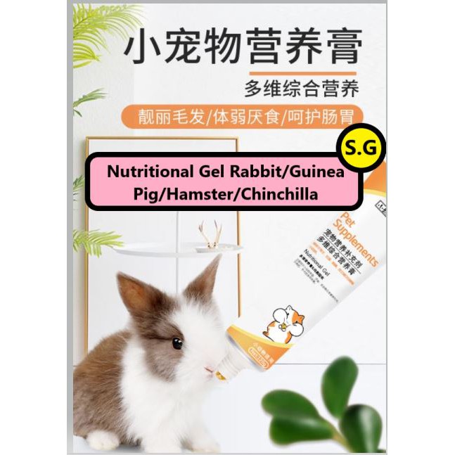 Hamster Nutrition Paste Small Pet 仓鼠金丝熊化毛排毛膏营养膏80g兔子龙猫花枝鼠通心仓鼠用品 Shopee Malaysia