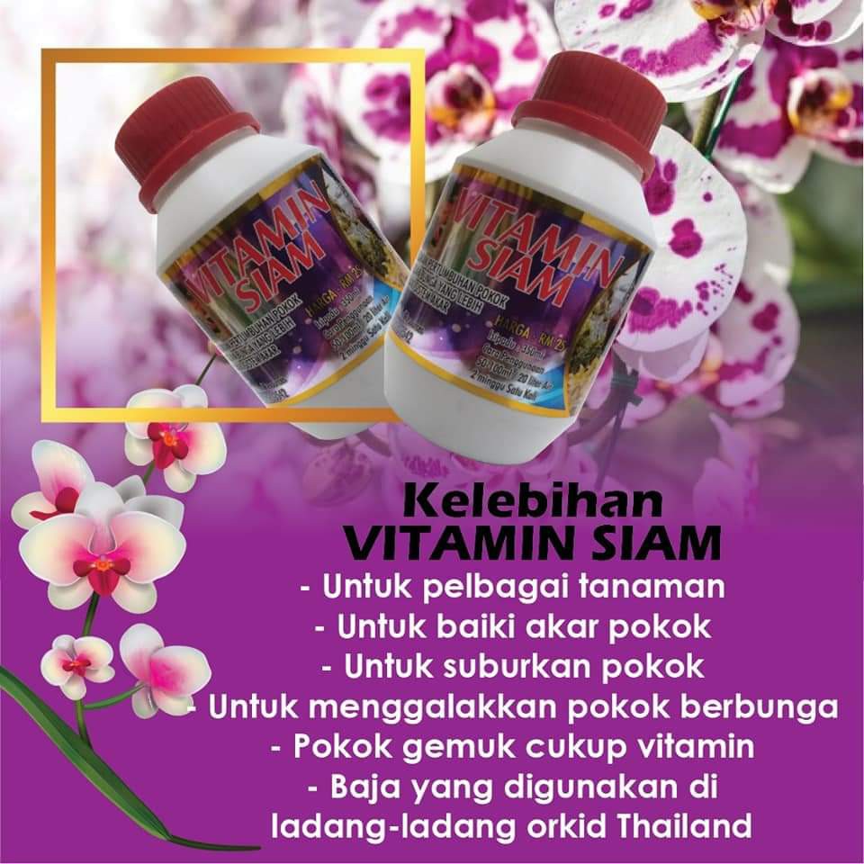 Vitamin Siam Baja Paling Power Dari Thailand Shopee Malaysia
