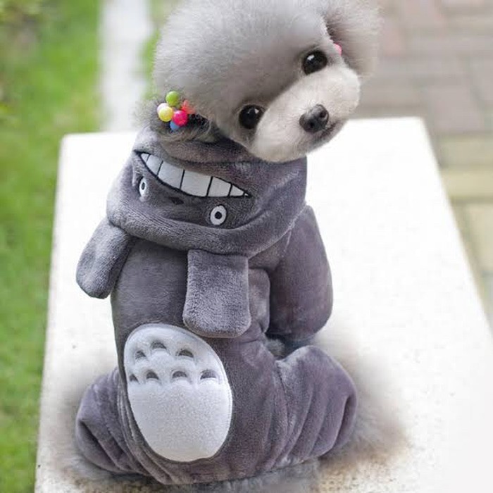 Totoro Dog And Cat Hoodie Model / Dog & Cat Costume Totoro Model
