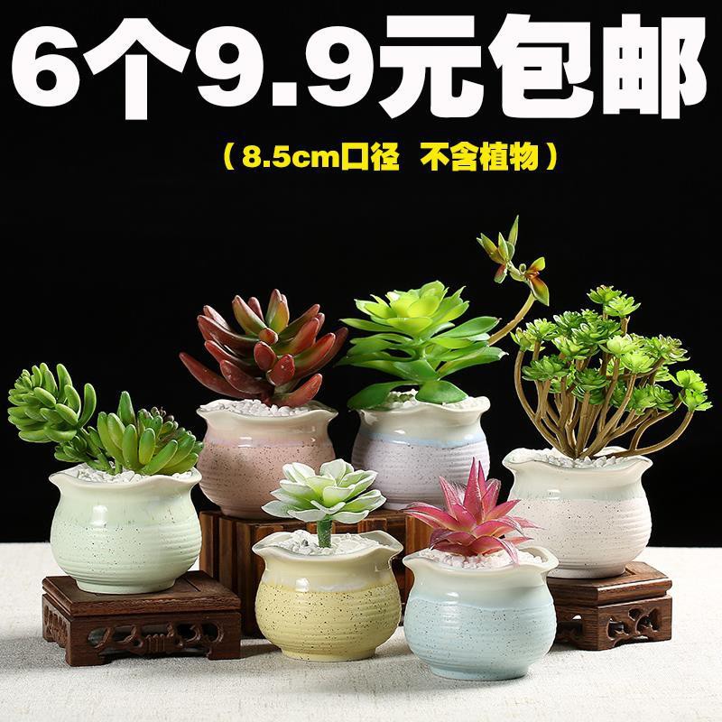 花盆陶瓷肉肉塑料创意室内绿萝多肉植物花盆小大号多肉花盆批发 Shopee Malaysia