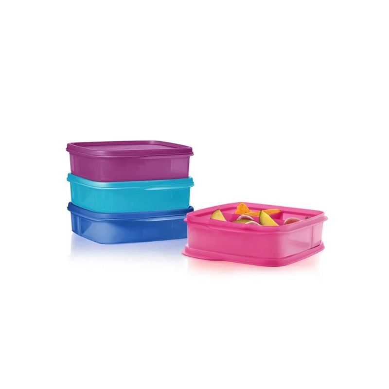 ReadyStock Tupperware LolliTup 550ml PWP Little Camper Bag Shopee 