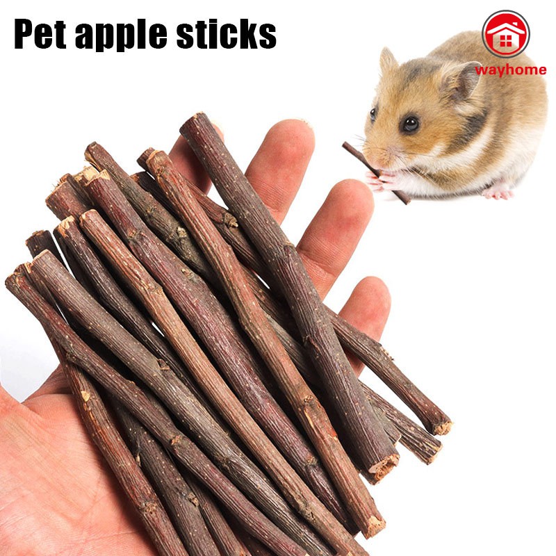 hamster chew sticks