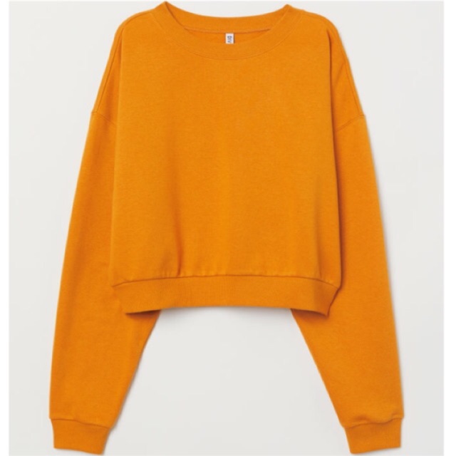 h&m cropped sweatshirt