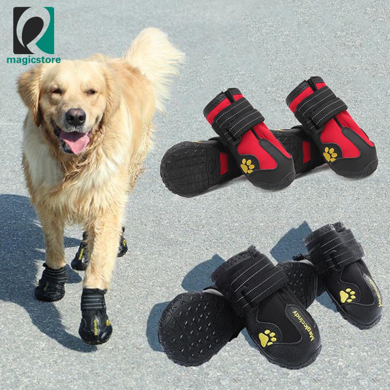 dog shoes shopee