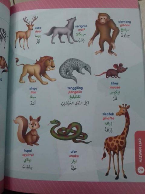 Serigala dalam bahasa arab