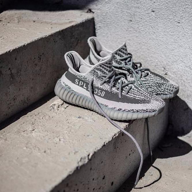 turtle dove v2