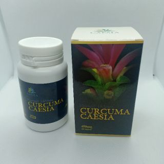 CURCUMA CAESIA (KAPSUL KUNYIT HITAM) 60BIJI  Shopee Malaysia