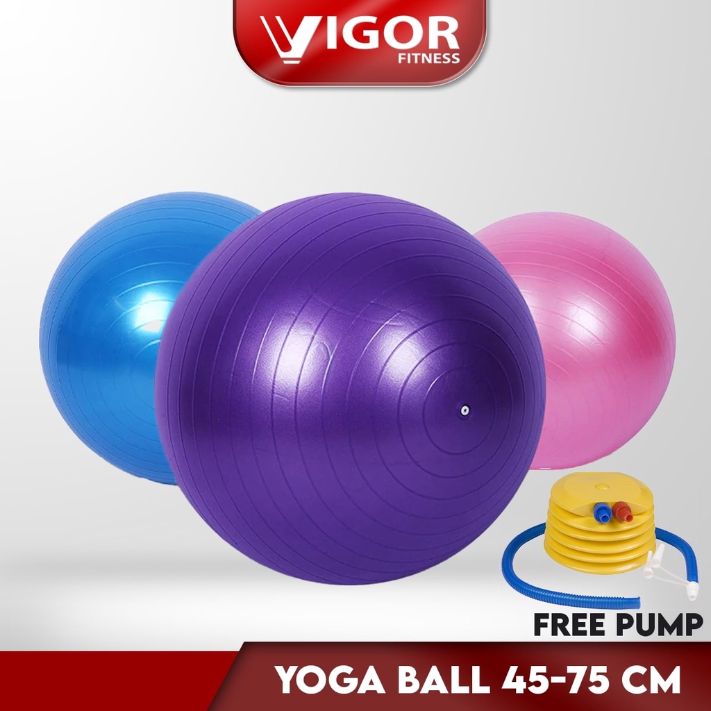 Vigor Fitness Gym Ball Anti-Burst Yoga Ball (45cm / 55cm / 65cm / 75cm ...