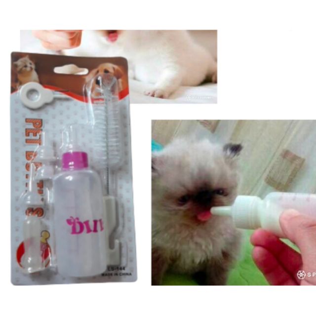 🐈🐈🐈🐈🐈🐈🐈❤BOTOL SUSU KUCING❤🐈🐈🐈🐈🐈🐈