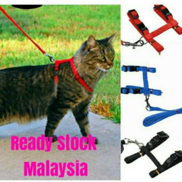 Tali Kucing/ Tali Anjing /Cat Collar /Dog Collar Ready Stock