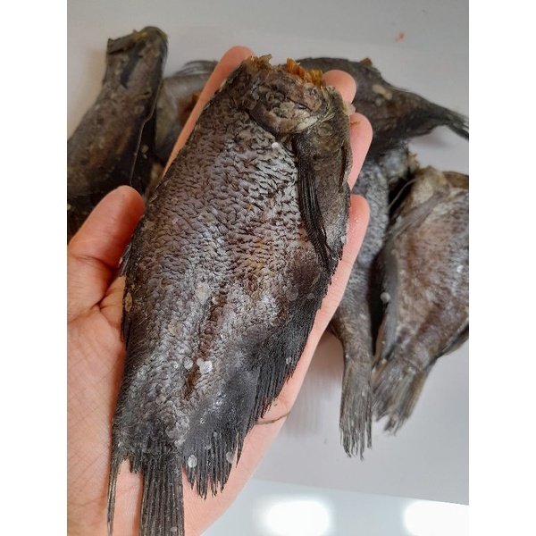 (Borong) Ikan Sepat Masin 6A 1kg | Shopee Malaysia