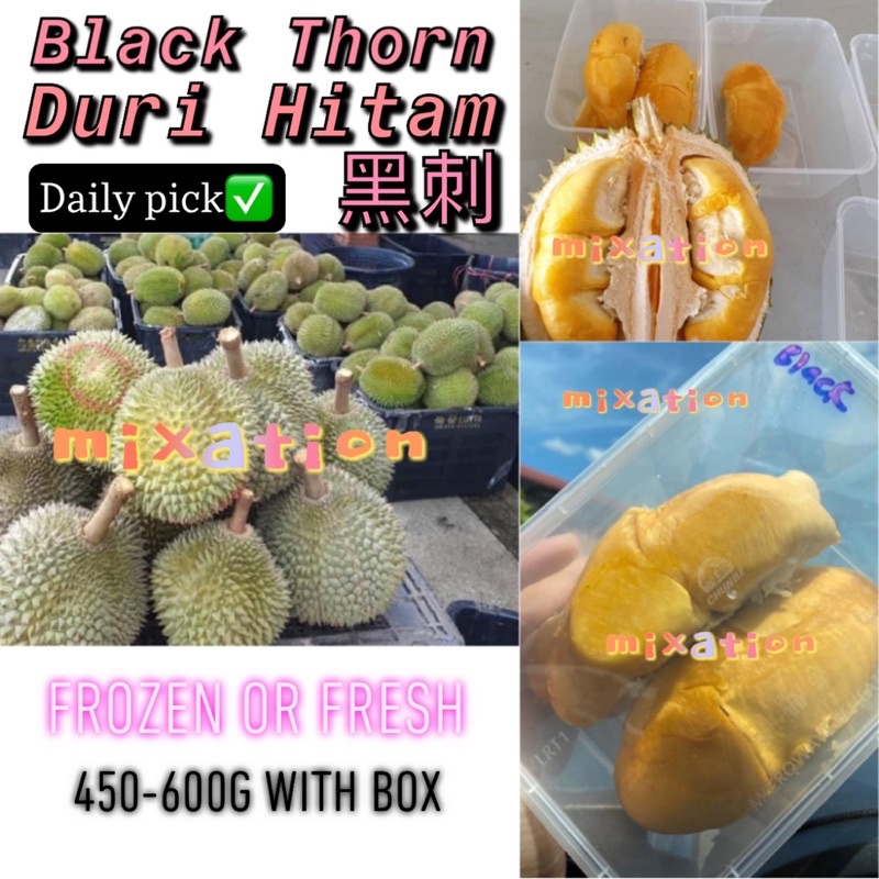 【✅Stok Frozen】Durian King Black Thorn Frozen beku 冷冻黑刺榴莲450-600g Durian Duri Daily Pick Ready Stock west msia delivery