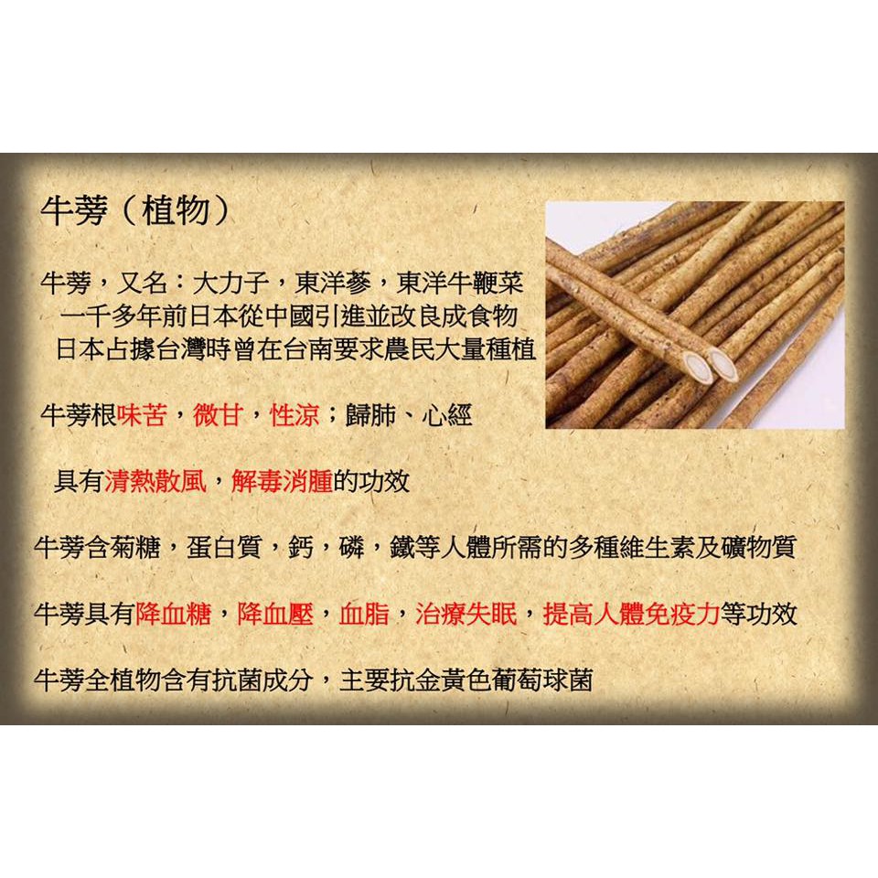 Burdock Root 牛蒡根 Tea Tonic 茶强身 Shopee Malaysia