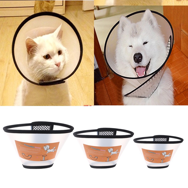 elizabethan cone for cats