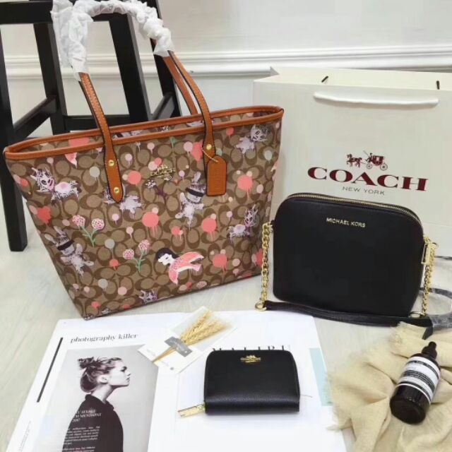 coach handbag nz