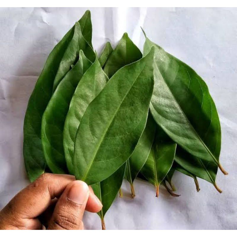 50 Gram Cook Seasoning Leaf Shopee Malaysia