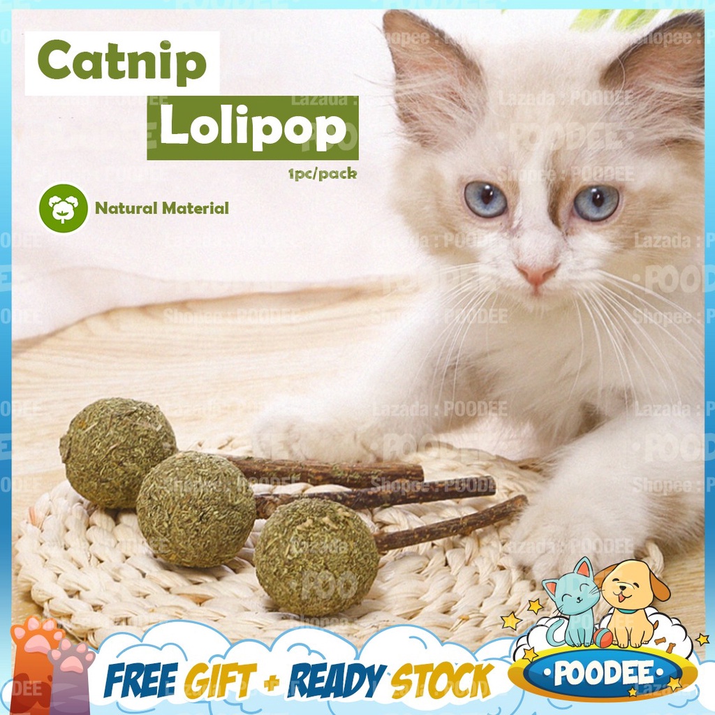 POODEE Pets Malaysia Natural Catnip Stick Ball Treats Cat Toy Appetizing  Excited Cat Snacks Catnip Lolipop (1pcs)