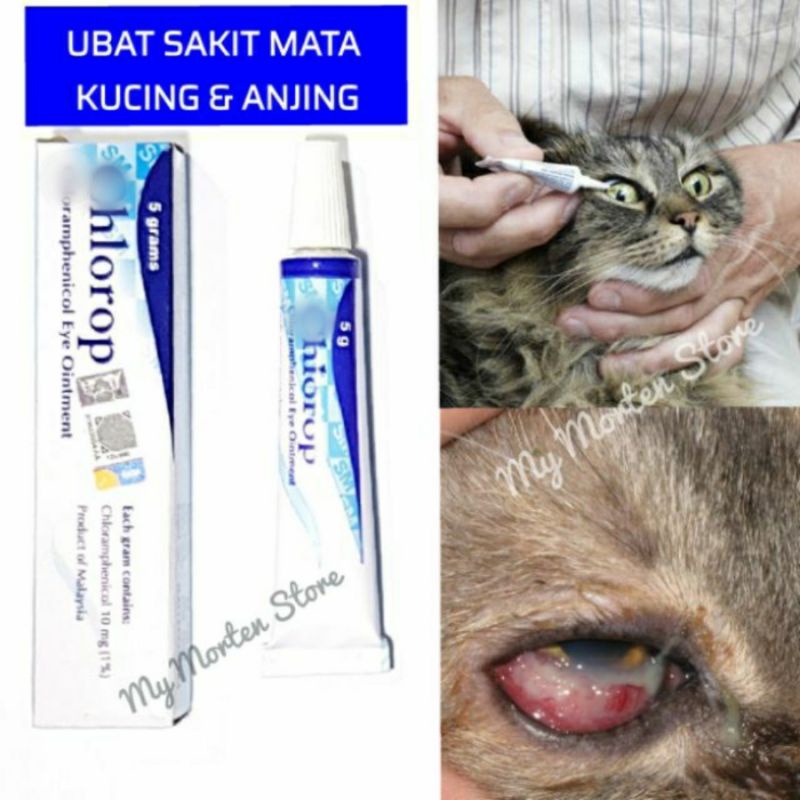 Ubat Sakit Mata Kucing Anjing Shopee Malaysia