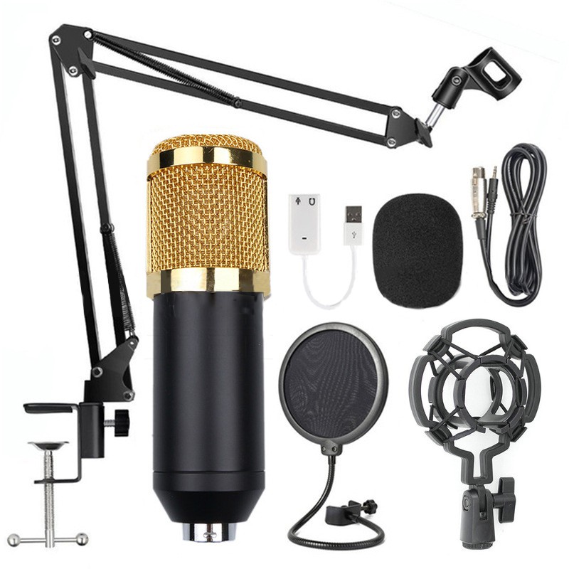 mobile mic and speaker