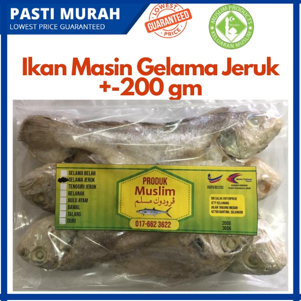 Ikan Masin Gelama Jeruk Buymuslimfirst Shopee Malaysia