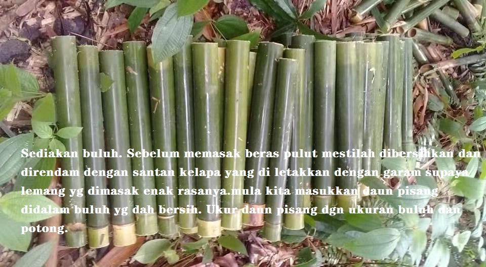 Lemang panjang