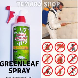 Ubat Pepijat Ubat Pijat Anti Pepijat Anti Bed Bugs 