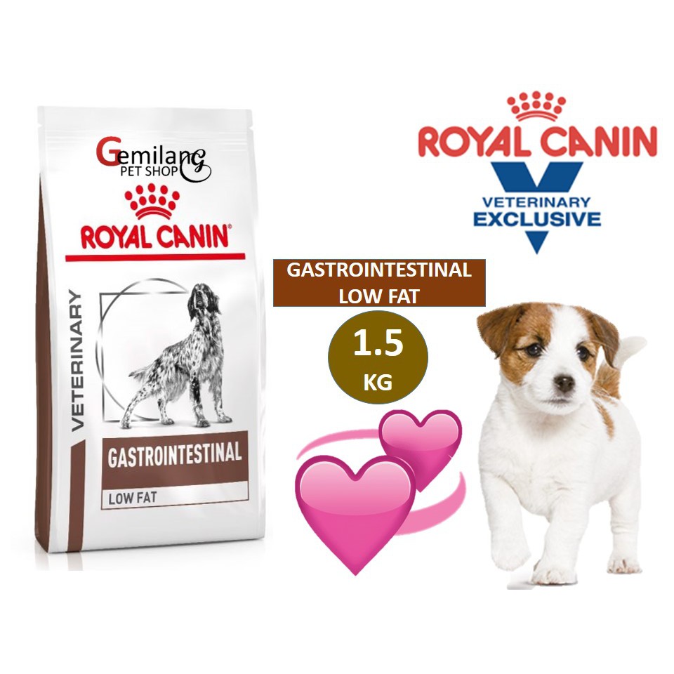 gastrointestinal low fat dry dog food